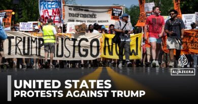 US anti-Trump protests: Thousands march to defend civil liberties
