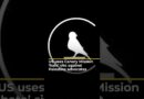 US uses Canary Mission ‘hate’ site against Palestine advocates | AJ #shorts