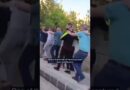 Verified footage shows systematic executions of Druze civilians in Syria | DW News