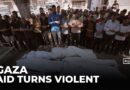 Victims of hunger: Shootings at aid sites leave broken families in Gaza