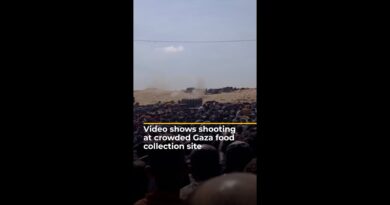 Video shows shooting at crowded Gaza food collection site