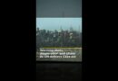 Warning shots, desperation and chaos as UN delivers aid in Gaza | AJ #shorts