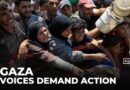 ‘We don’t want words, we want actions’, Gaza-based journalist pleads