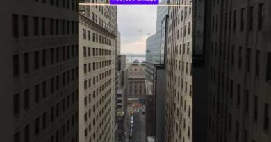 We took some sample photos with Project Indigo and the normal iPhone camera to see how they compare.