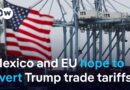 What could a transatlantic tariff escalation mean for the global economy? | DW News