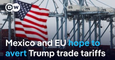 What could a transatlantic tariff escalation mean for the global economy? | DW News