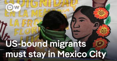 What does Trump’s domestic policy bill mean for Mexican policy toward migrants? | DW News