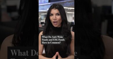 What ESG Funds and Anti-Woke Funds Have in Common