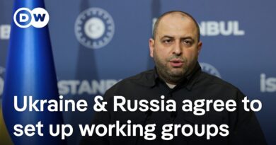 What has been achieved in negotiations between Russia and Ukraine? | DW News