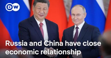 What impact did Xi’s and Putin’s absence from this year’s BRICS summit? | DW News