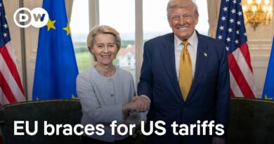 What impact will the US trade deal have on the EU economy? | DW News