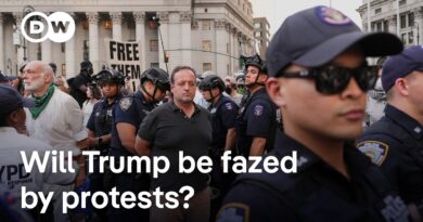 What is driving Americans to protest the Trump administration? | DW News