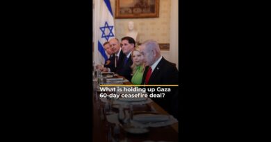 What is holding up Gaza 60-day ceasefire deal? | AJ #shorts