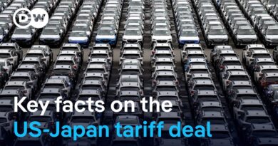 What the US-Japan trade deal means for the world economy | DW News