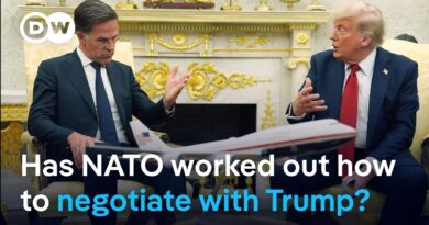 What to know about the NATO-US weapons deal for Ukraine | DW News