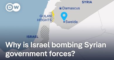 What’s behind the clashes around the Syrian city of Sweida? | DW News