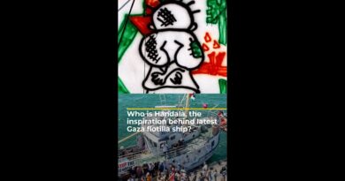 Who is Handala, the inspiration behind latest Gaza flotilla ship? | #ajshorts