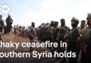 Who is in Syrian President al-Sharaa’s security forces and are they all taking orders from him?