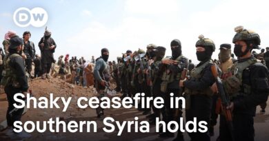Who is in Syrian President al-Sharaa’s security forces and are they all taking orders from him?