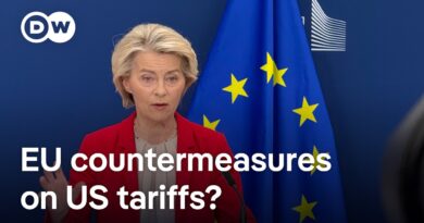 Who will bear the brunt of proposed US-EU tariff increases? | DW News