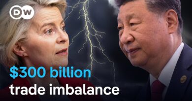 Why China-EU trade ties are so tense | DW News