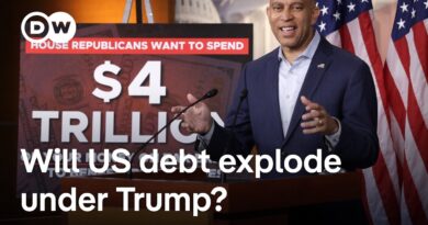 Why did most Senate Republicans approve Trump’s spending bill? | DW News