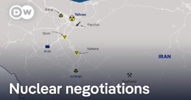 Why is Europe working towards a nuclear deal with Iran? | DW News