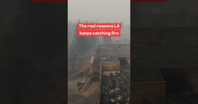 Why is #LosAngeles so vulnerable to #fires? #climatechange