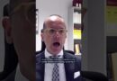 Why is the far-right AfD opposing the constitutional court candidate? | Berlin Briefing Podcast