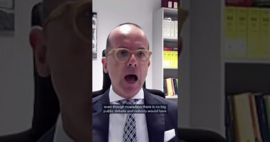 Why is the far-right AfD opposing the constitutional court candidate? | Berlin Briefing Podcast