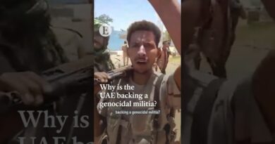 Why is the UAE backing a genocidal milita?
