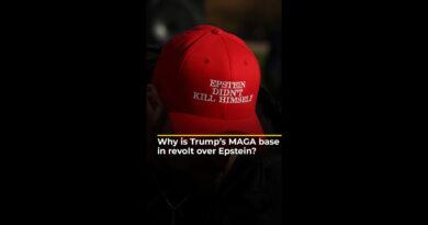 Why is Trump’s MAGA base in revolt over Epstein? | AJ #shorts