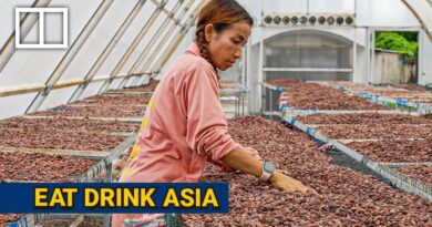 Why Thailand could be the world’s next chocolate nation