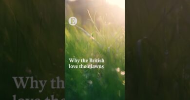 Why the British love their lawns