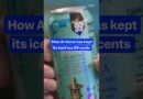Why the founder of #AriZona Beverages priced their #IcedTeas at #99cents