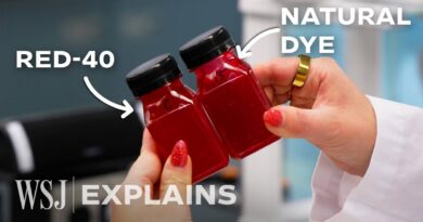 Why the U.S. Quitting Artificial Food Dyes Is So Difficult | WSJ