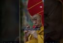 Why Tibet matters | DW News
