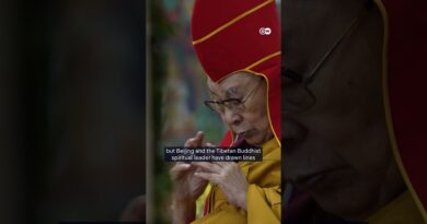 Why Tibet matters | DW News