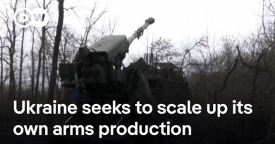 Why Ukraine is seeking financial investment in its own arms manufacturing sector | DW News