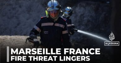 Wildfire near Marseille under control but risks remain
