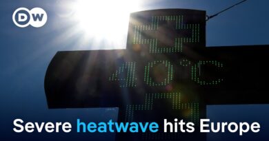 Wildfires burn in Turkey and as early heatwave hits Europe | DW News