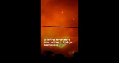 Wildfires force more evacuations in Turkiye and Greece | AJ#shorts