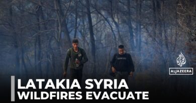 Wildfires rage in Syria’s Latakia province, residents forced to evacuate