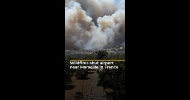 Wildfires shut airport near Marseille in France | AJ#shorts