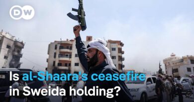 Will the presence of Syrian government forces inflame or calm the situation again? | DW News