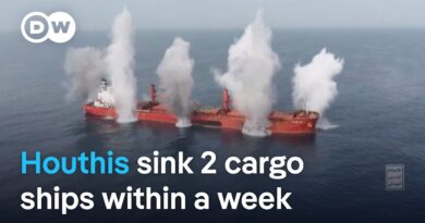Yemen’s Houthi rebels release video of attack on cargo ship in the Red Sea | DW News