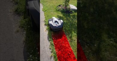 Your Lawn is Cooked…