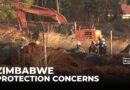 Zimbabwe ecosystems: Global conference on protecting wetlands taking place