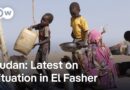 14 people reported killed by Sudanese paramilitary while trying to flee | DW News
