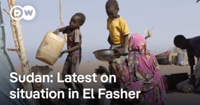 14 people reported killed by Sudanese paramilitary while trying to flee | DW News